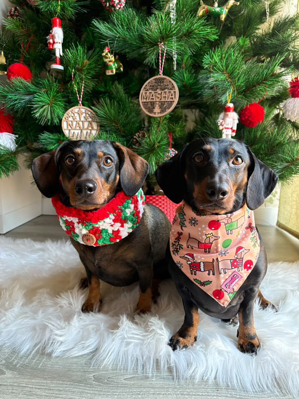 Christmas Dachshunds Bandana - Tie on