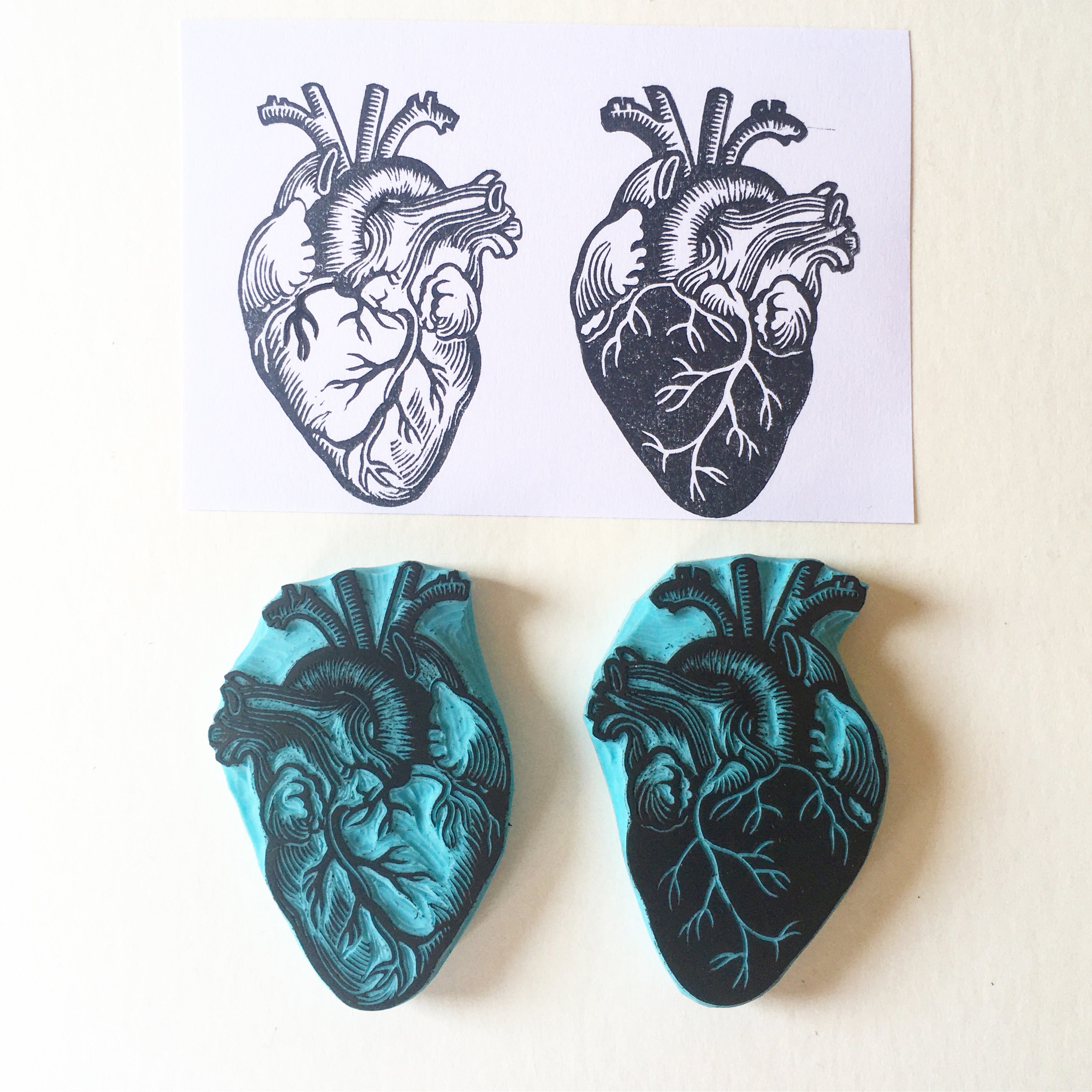 Human heart anatomical rubber stamp