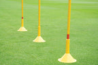 Pica Slalom
