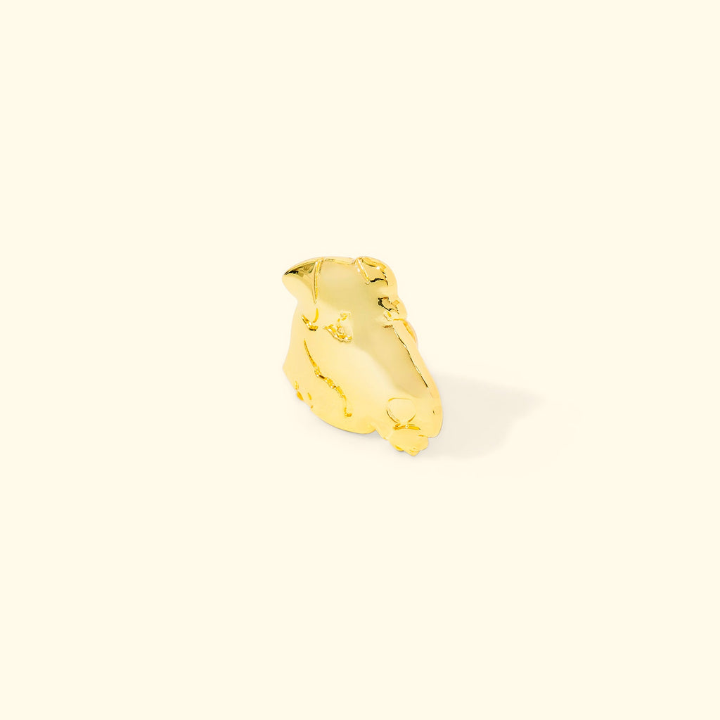 Darryl Pin