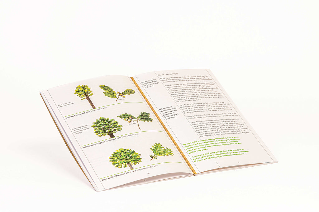 Le Nez du Vin - "The Oak" 12 Wine Aroma Kit by Jean Lenoir