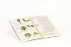 Le Nez du Vin - "The Oak" 12 Wine Aroma Kit by Jean Lenoir