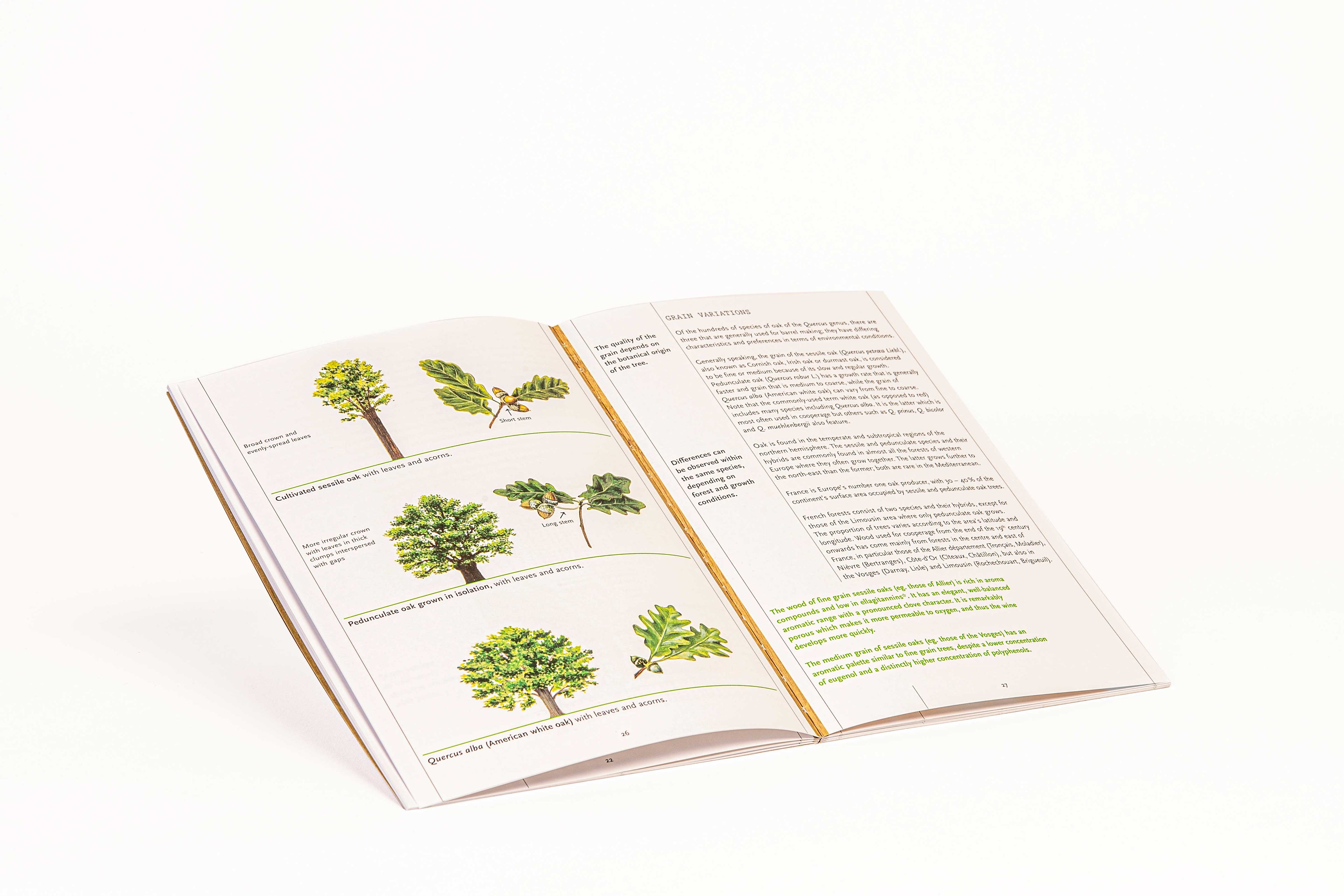 Le Nez du Vin - "The Oak" 12 Wine Aroma Kit by Jean Lenoir