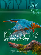 Day 15: Birdwatching at Ses Feixes