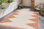 Djugun Peach Fuzz Indoor & Outdoor Area Rug