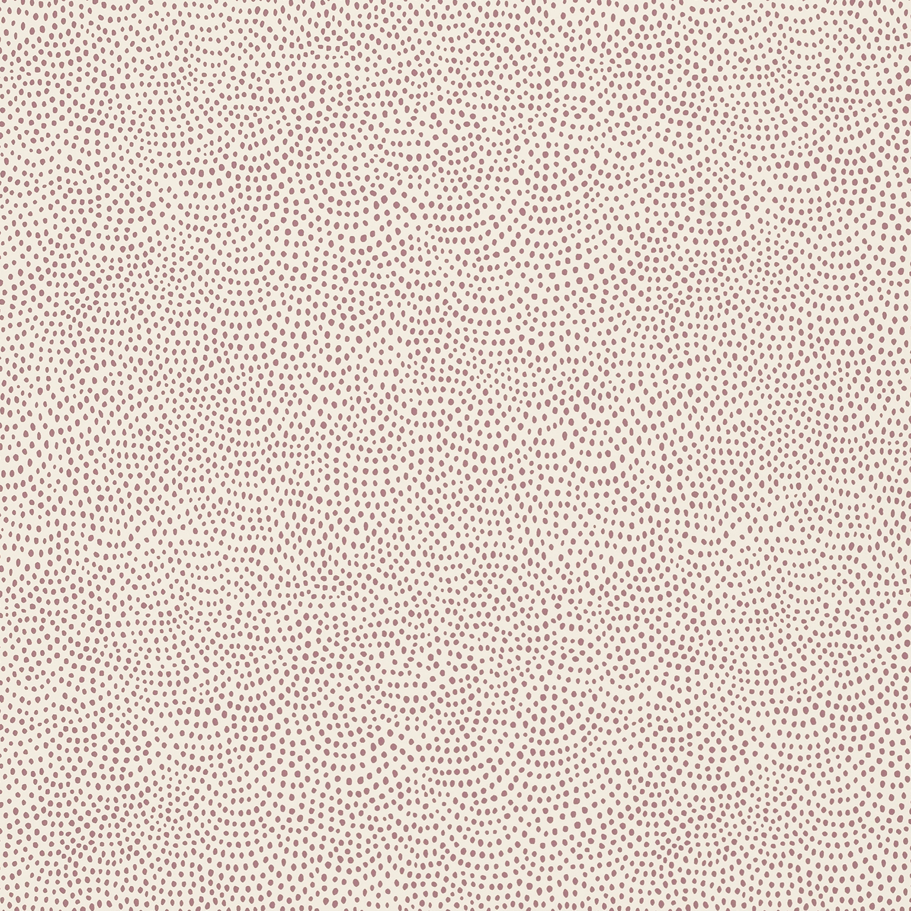 Dot All Over Wallpaper Fig By Sister Parish Design