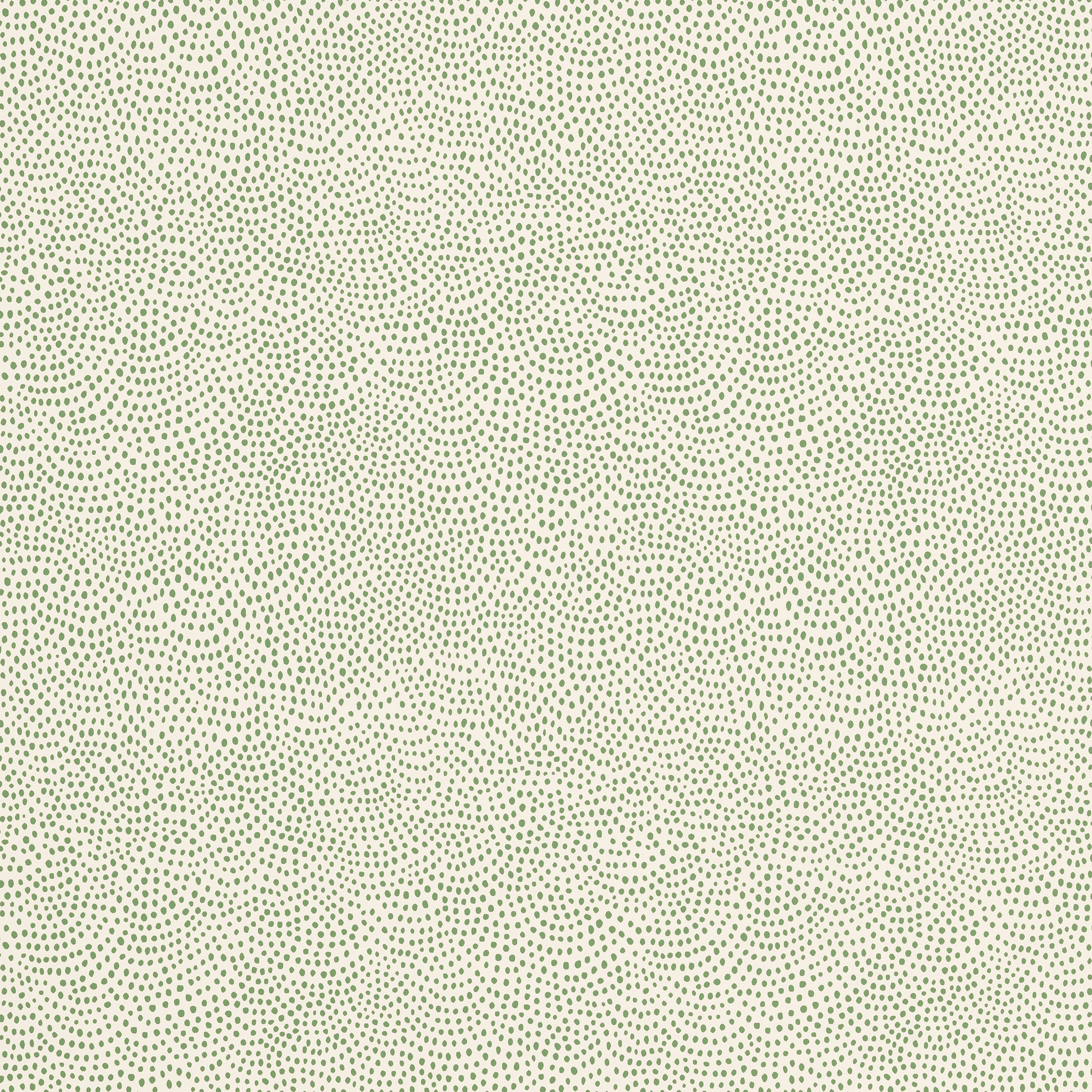 Dot All Over Wallpaper Green By Sister Parish Design