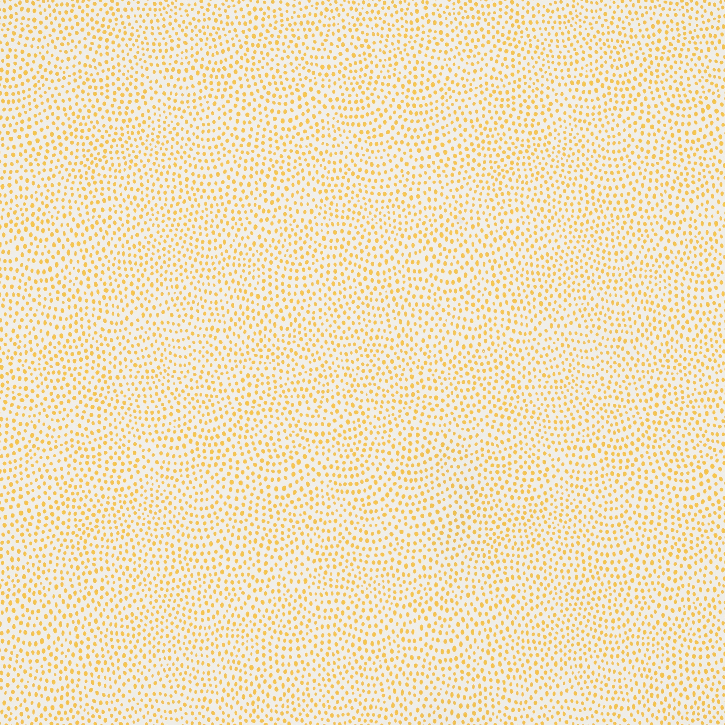 Dot All Over Wallpaper Wheat By Sister Parish Design