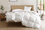 Down Duvet Insert