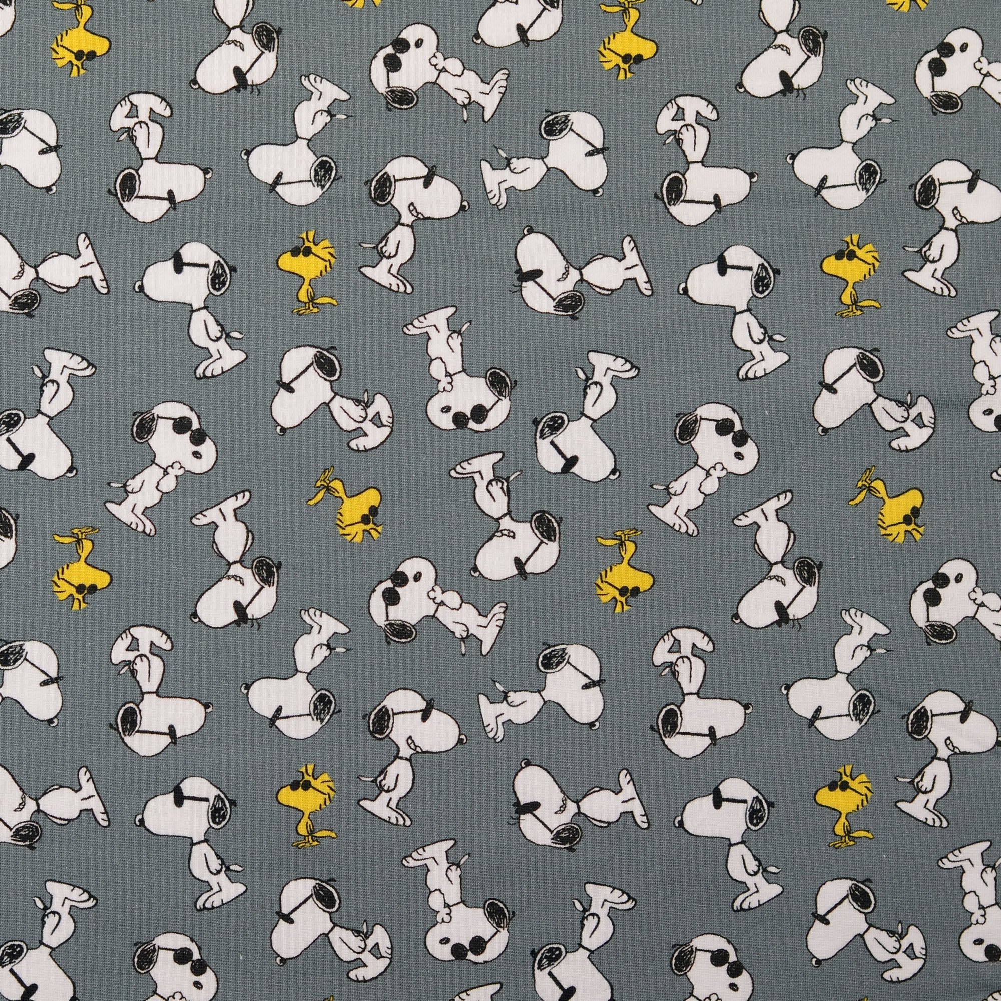TRENZA PROTECTORA CUNA & CAMA | Colección Especial SNOOPY Gris (Pre-Order)