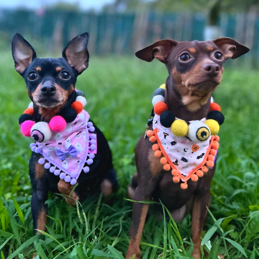 Cute Pink Ghosts! Halloween Pompom Dog Bandana