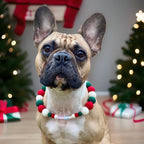 Christmas Pom Pom Dog Collar - Big Balls - Traditional Holly Green