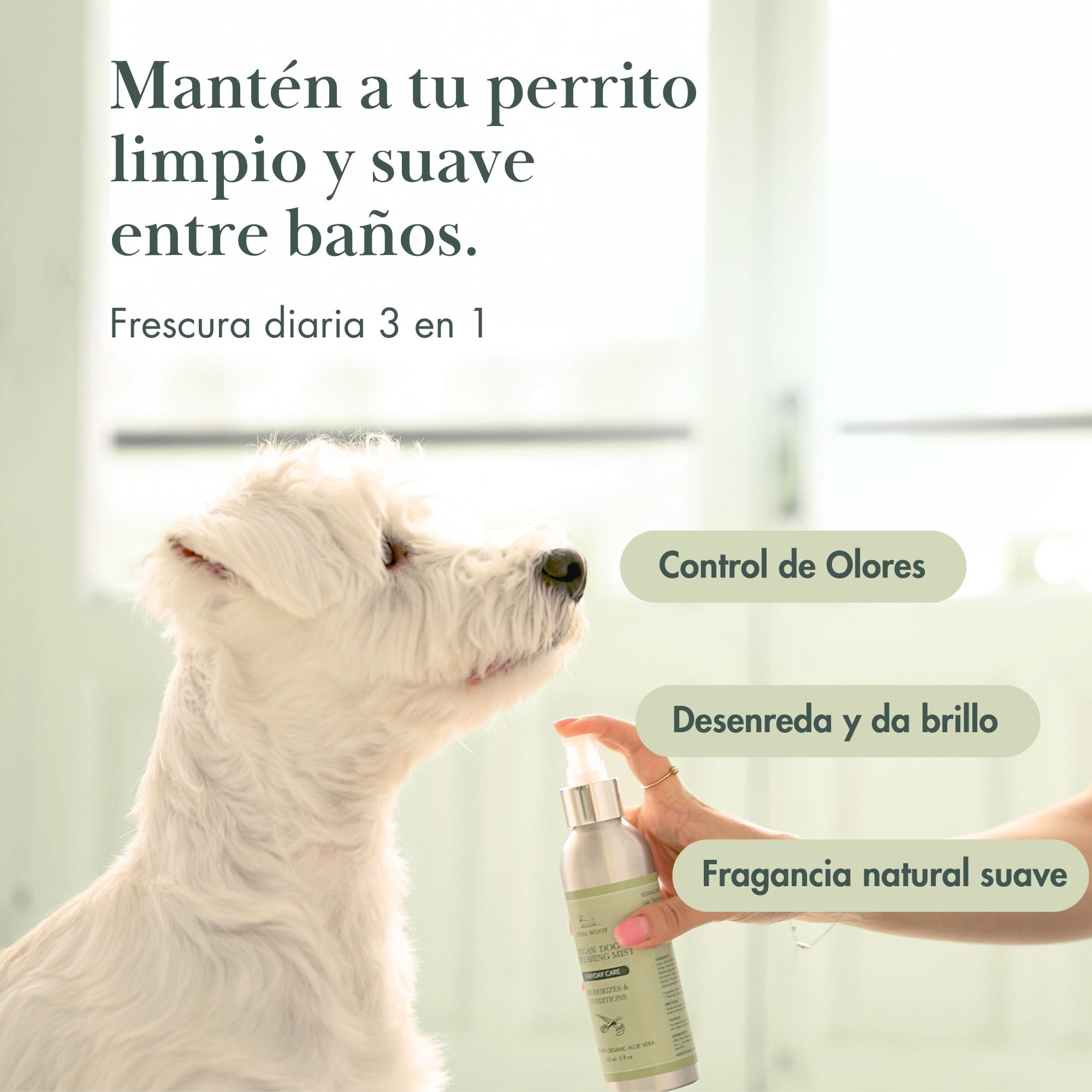 Spray Desodorizante