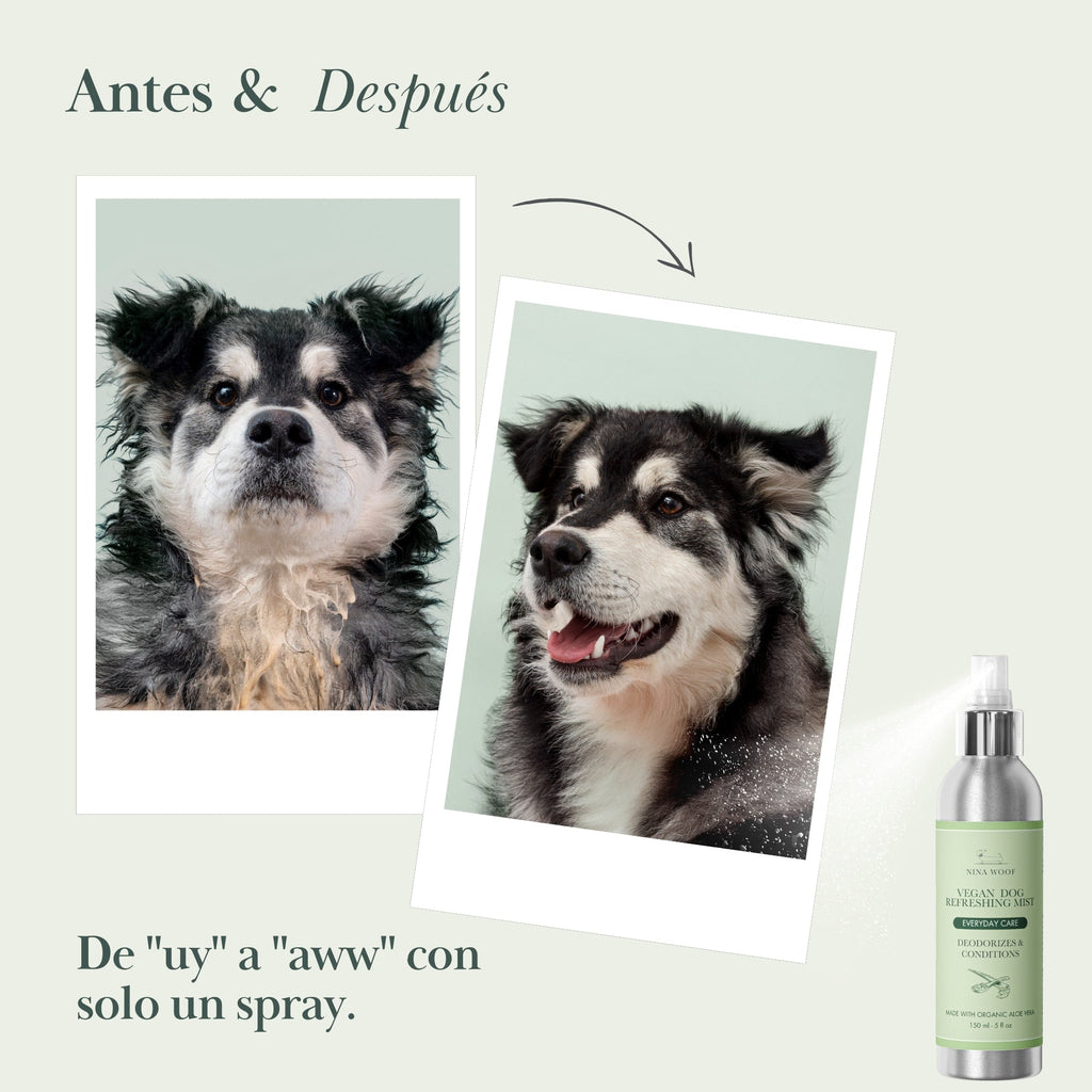 Spray Desodorizante