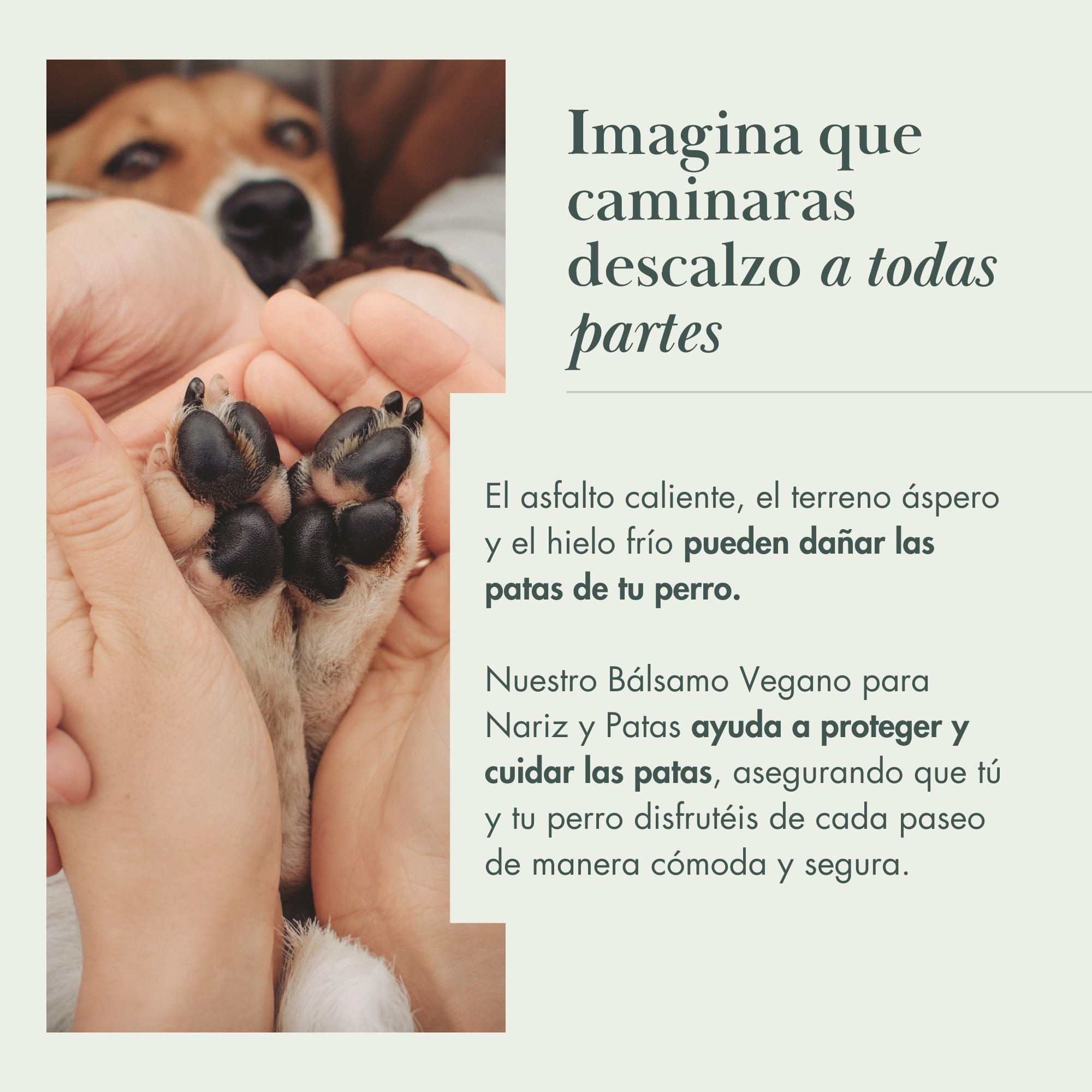 Bálsamo para Almohadillas