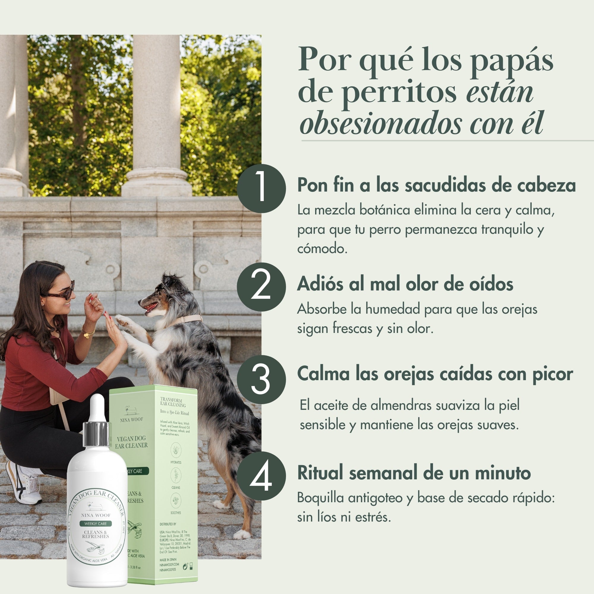 Limpiador de Oídos