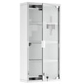 12" x 23.5" Wall Mount Medicine Cabinet, Bathroom Cabinet with 4 Tier Shelves, Silver