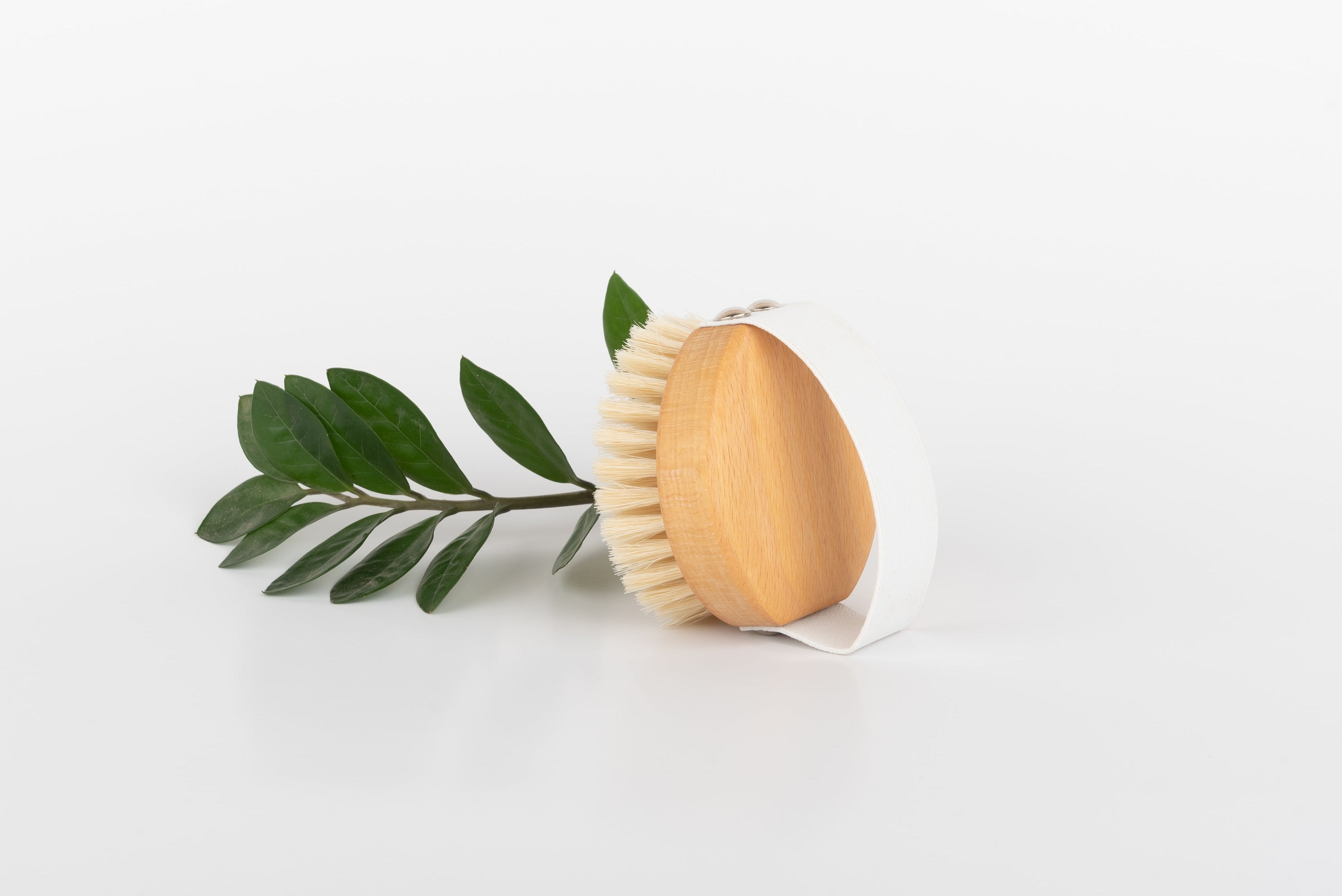Cepillo corporal exfoliante
