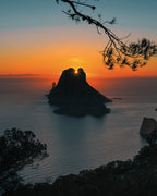 Discover the Wonders of the Ibiza Aquarium Cap Blanc
