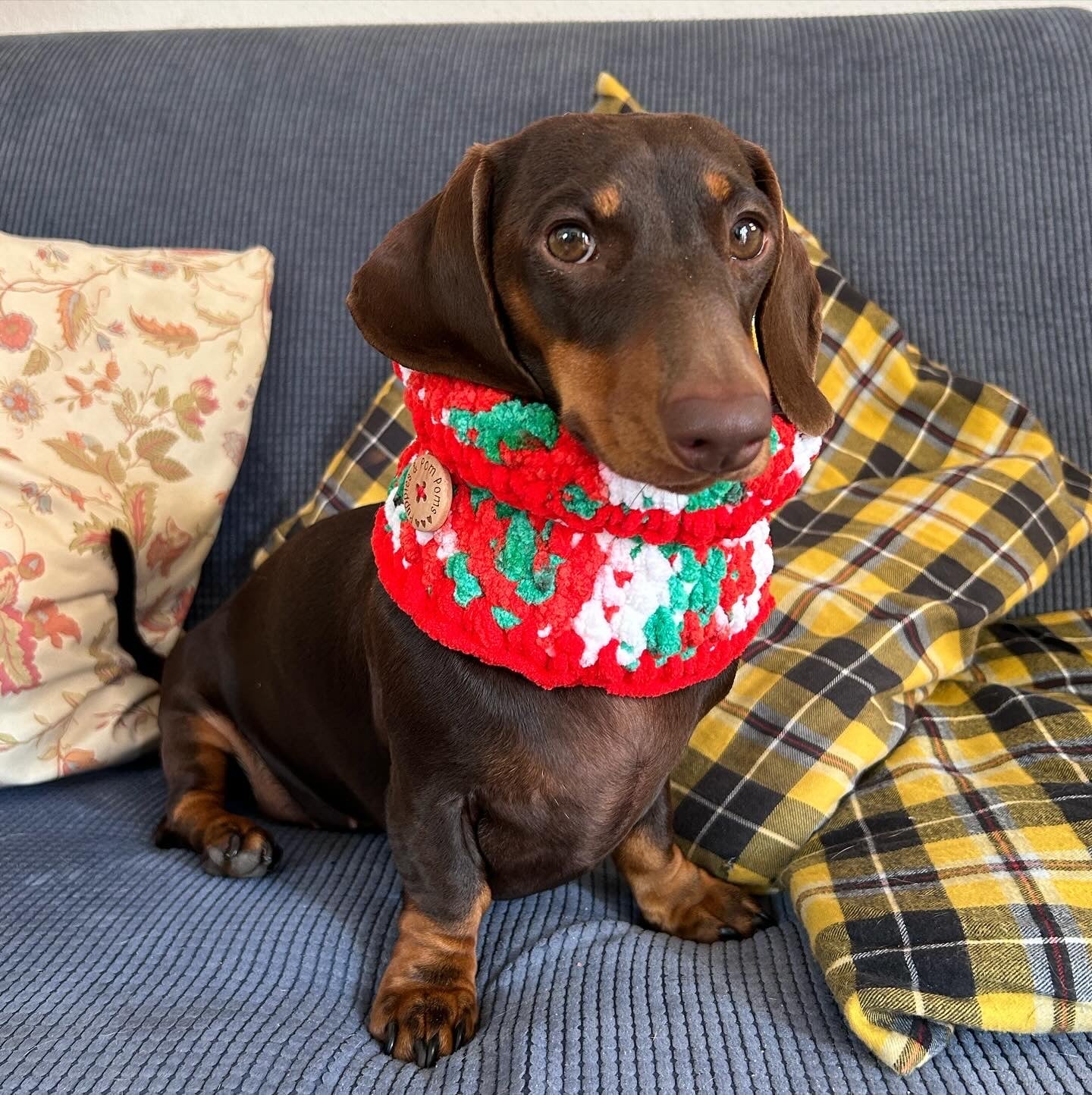 Red White & Green Crochet Dog Snood / Buff