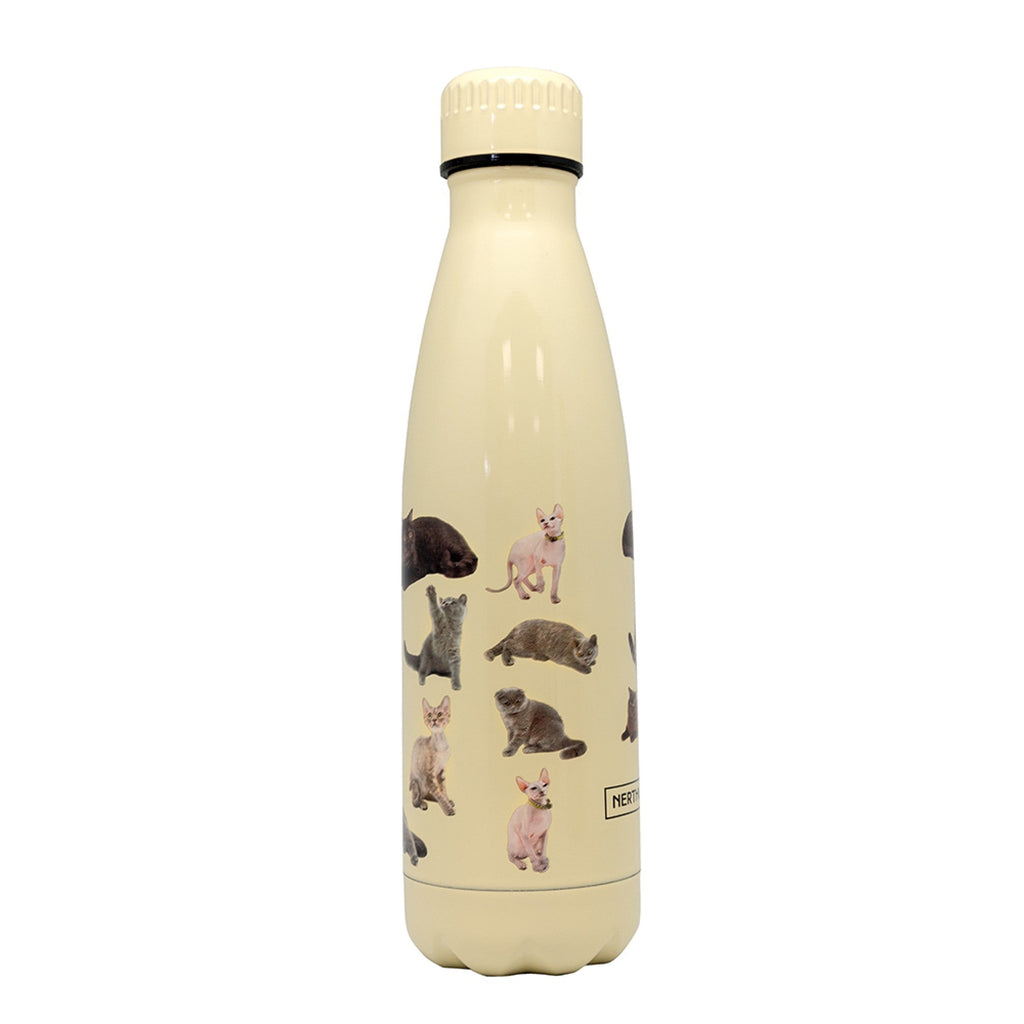Botella Térmica Clásica de Acero Inoxidable – Doble Pared