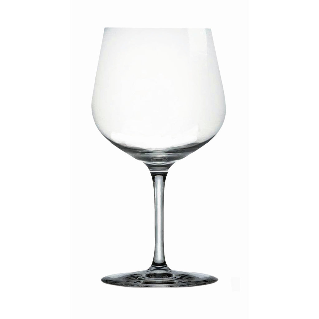 Set de dos copas grandes para gin tonic