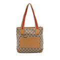 GG Canvas Web Shoulder Bag