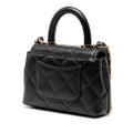 Nano Quilted Caviar Coco Top Handle Bag