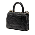 Nano Quilted Caviar Coco Top Handle Bag