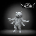 Four arms pilot, Black Remnant