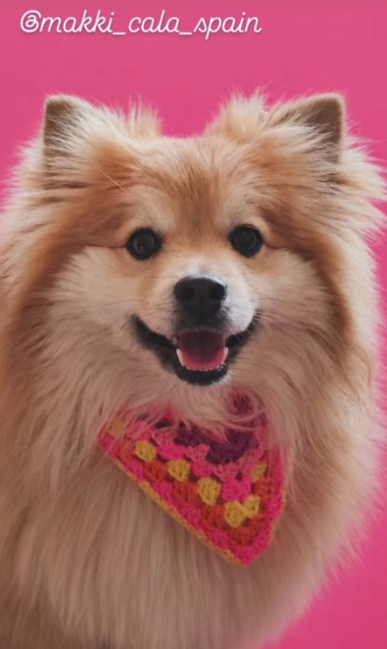 Crochet Dog Bandana - Hot Pink