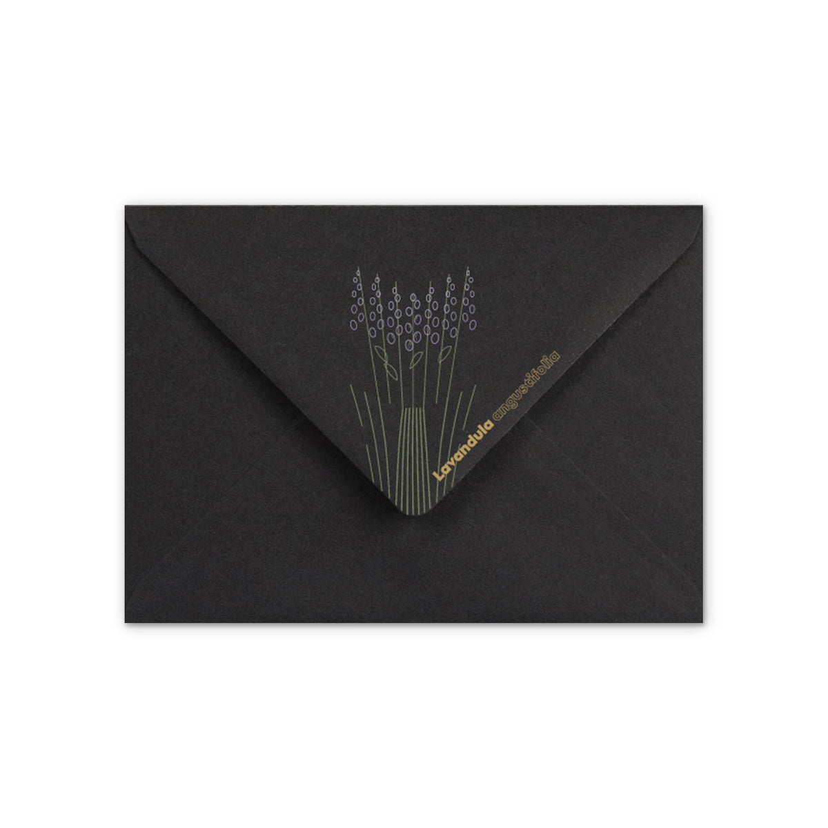 Envelope Lavender design