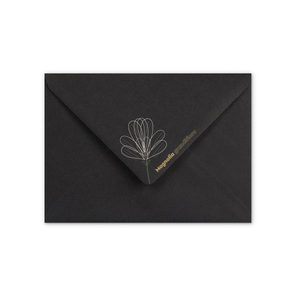 Envelope Magnolia design