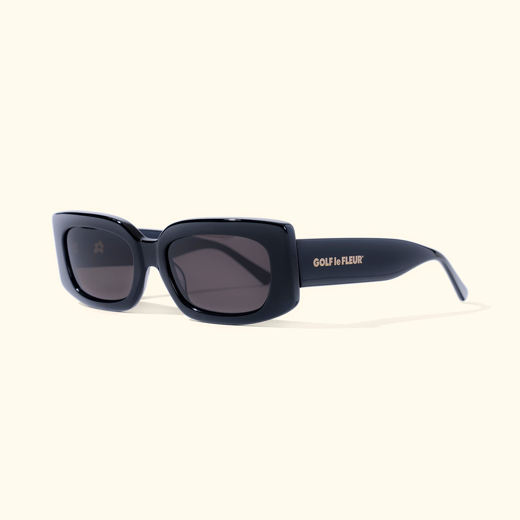 Sunseeker Sunglasses Black