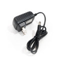 Christmas Greenery Battery Pack A/C Adapter