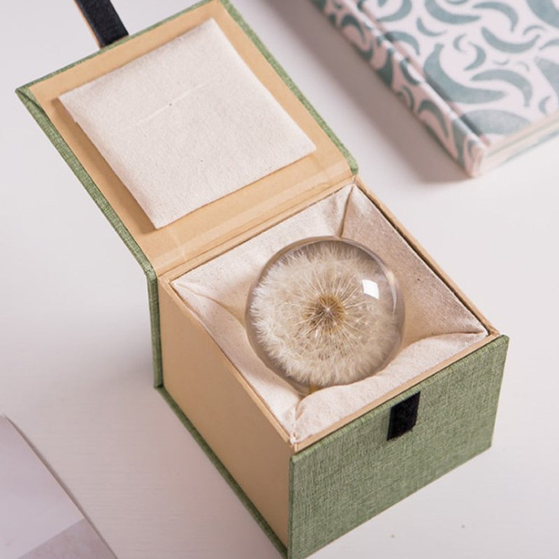 ArtZ® I See A Bright Future Dandelion Crystal Ball - 3.1 inch Diameter (8cm)
