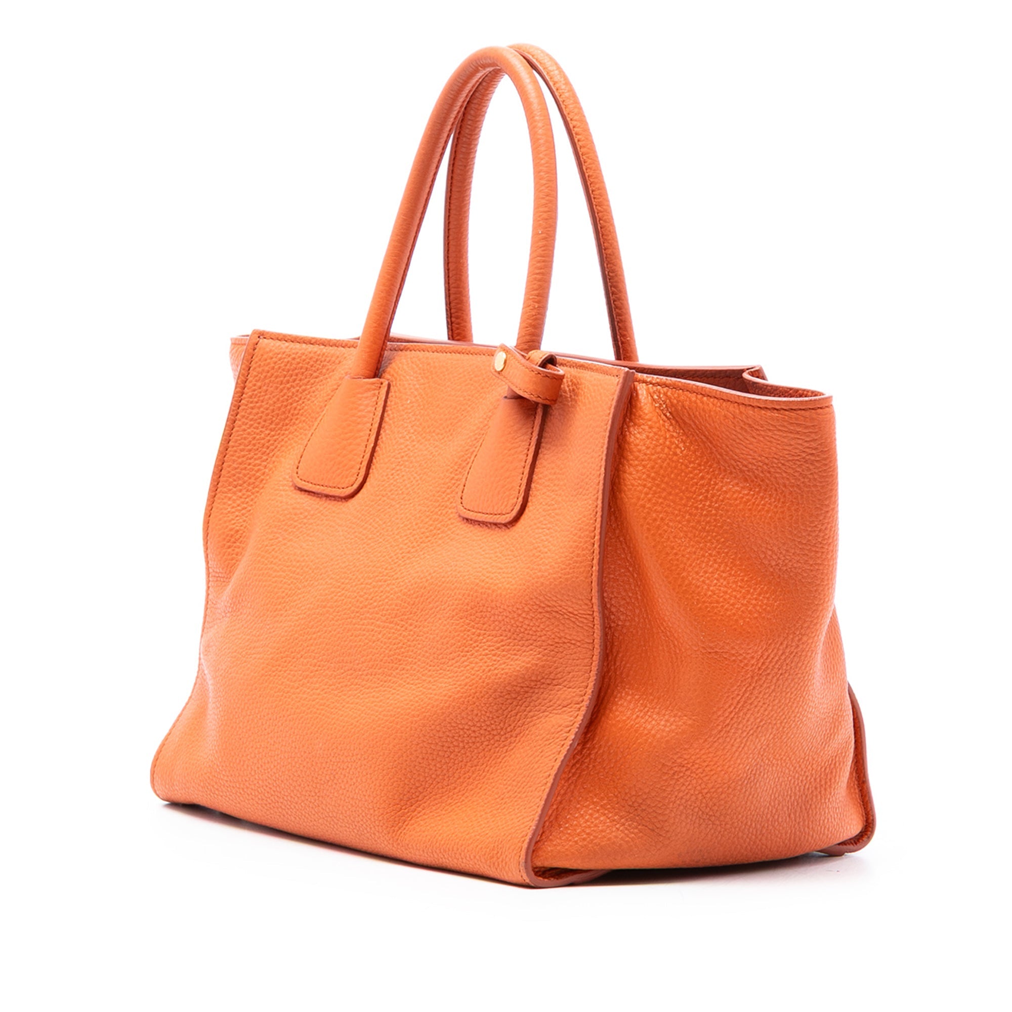 Vitello Phenix Shopping Tote