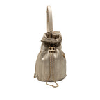 Small Metallic Calfskin Coco Pleats Drawstring Backpack