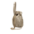 Small Metallic Calfskin Coco Pleats Drawstring Backpack