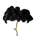 ArtZ® Ostrich Feather Lamp - Black / 25 Feathers; 31.5 inch Height; 25.6 inch Width