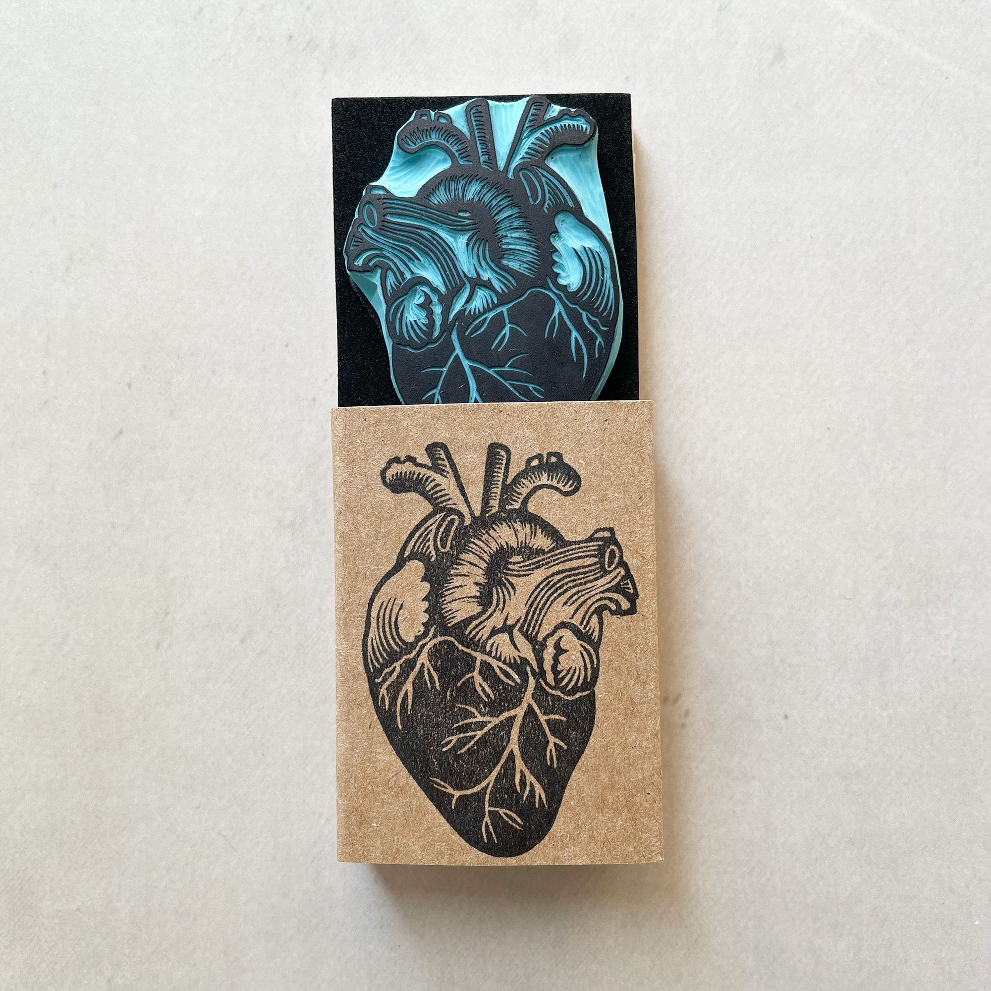 Human heart anatomical rubber stamp
