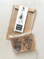 Human heart anatomical rubber stamp