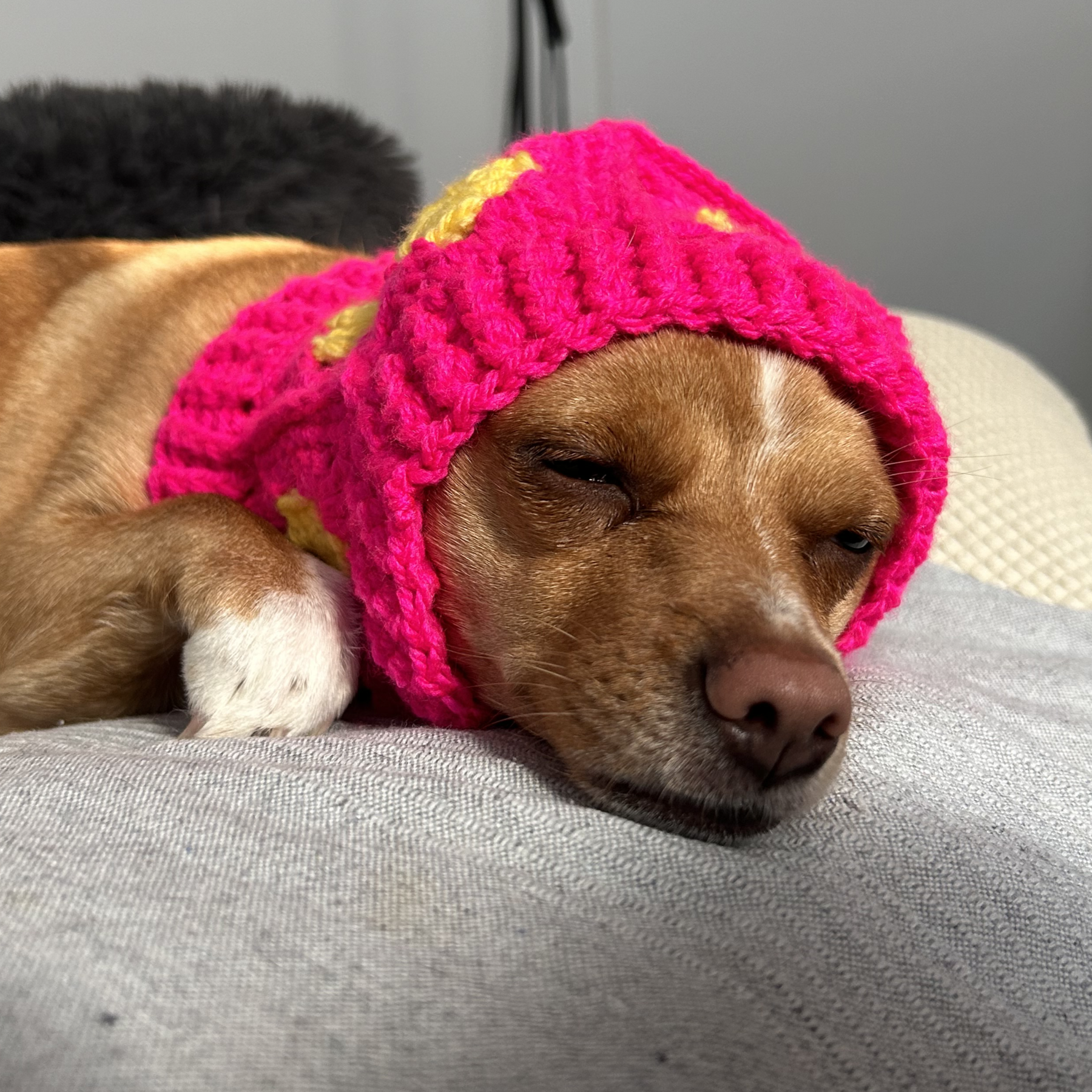 Handmade Crochet Dog Balaclava Hat - Hot Pink