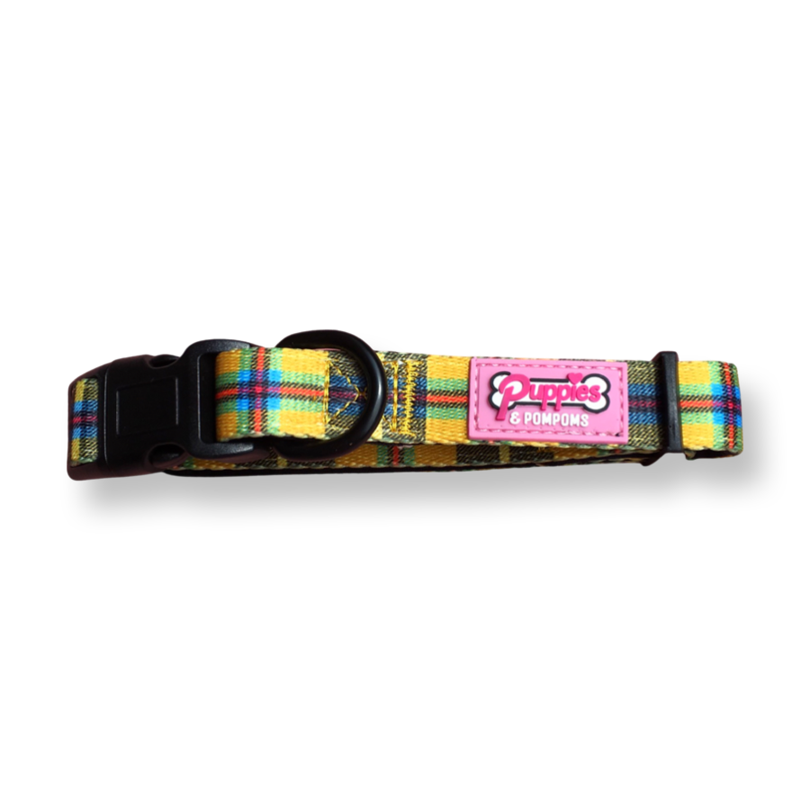 Collar - Cornish Tartan