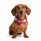 Hot Pink Mix - Personalised Pom Pom Dog Collar