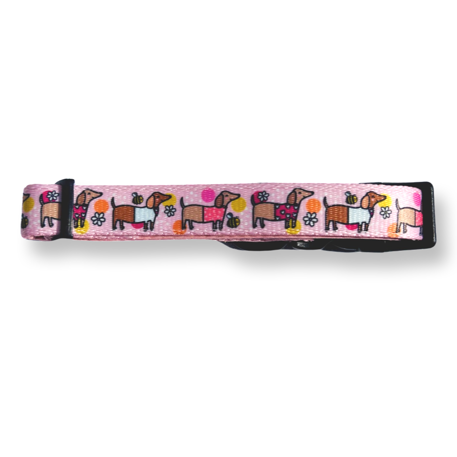 Collar - Bee Happy Dachshunds