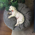 30 Inch Forever Dog Bed (Waterproof) - Terry Corduroy
