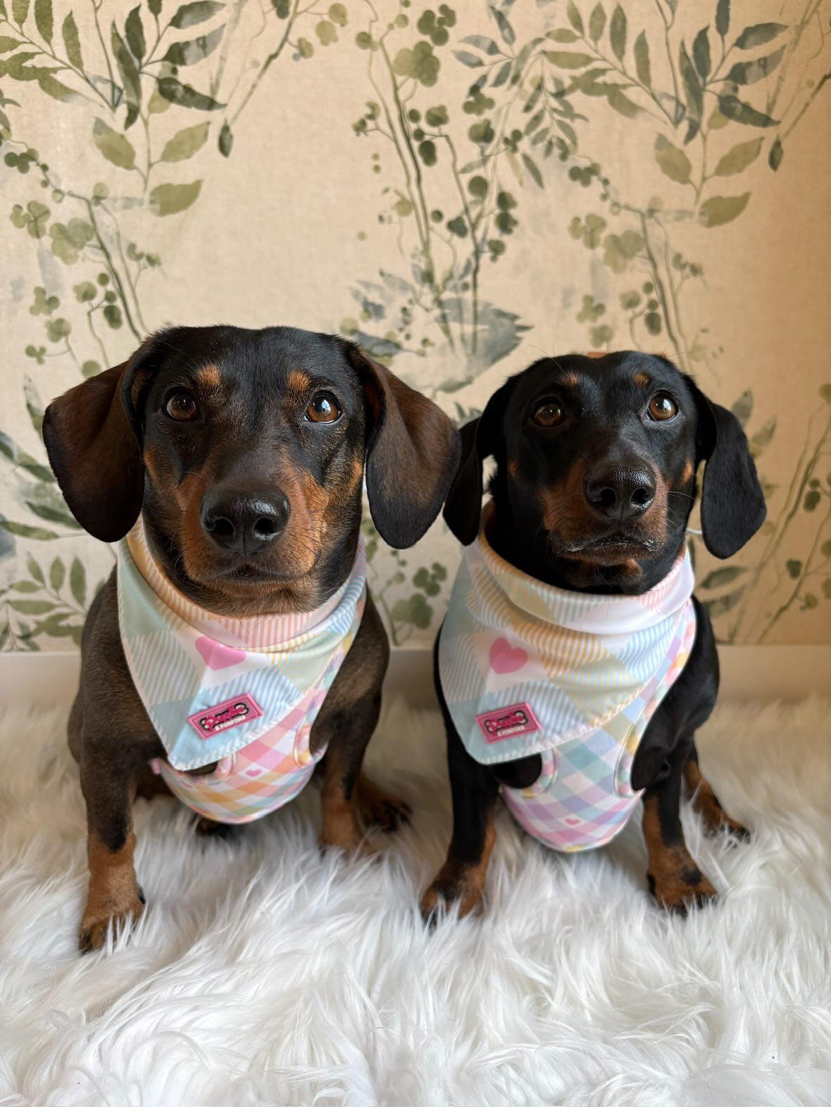 Pastel Vichy Bandana - Tie-on