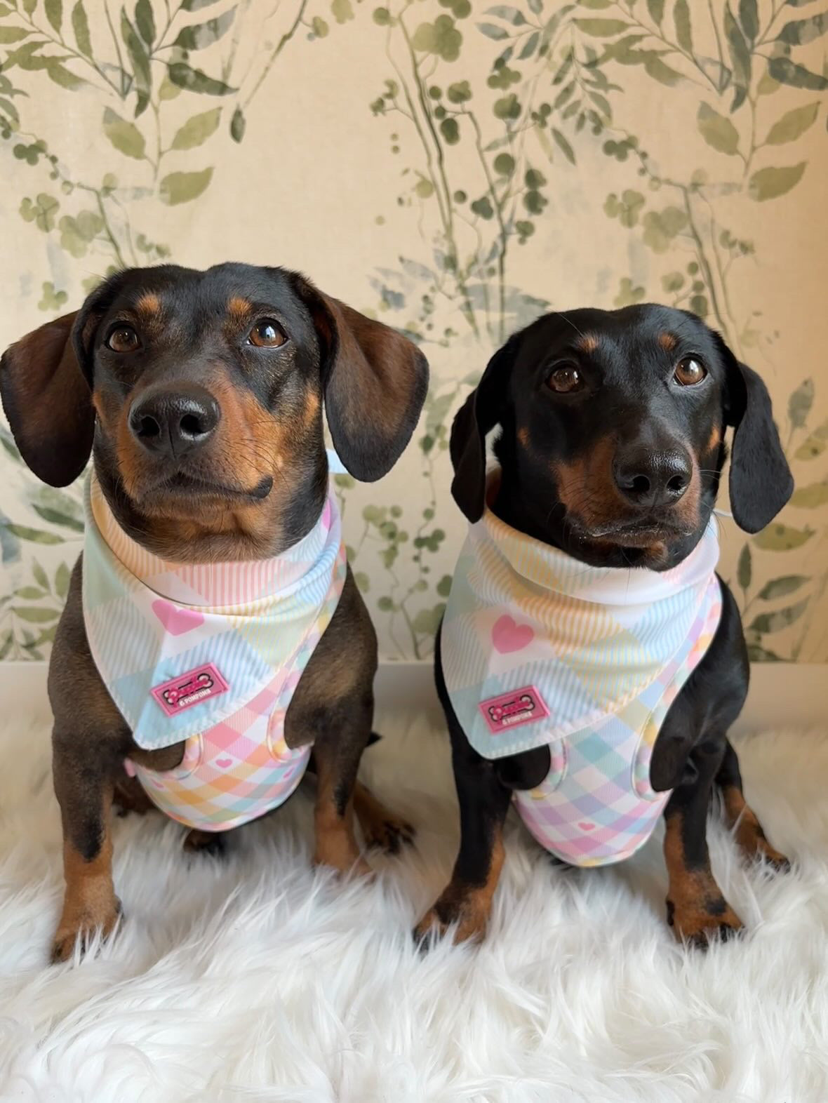 Pastel Vichy Bandana - Tie-on