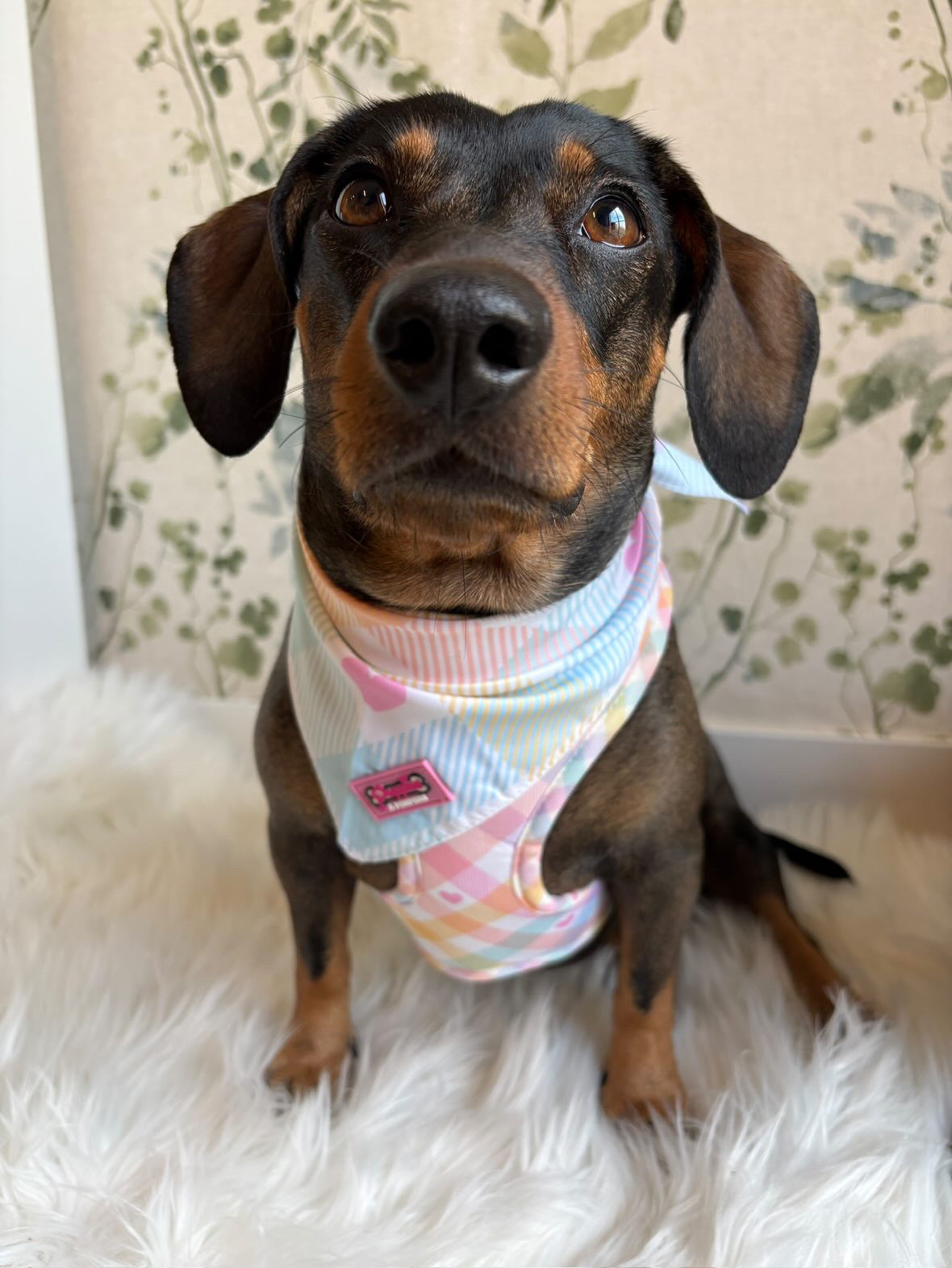 Pastel Vichy Bandana - Tie-on